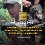 SALVAJISMO EN CHIAPAS: SUJETO MUTILA A SU PERRO CON UN MACHETE; EXIGEN CASTIGO EJEMPLAR