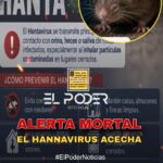 ALERTA MORTALEL HANNAVIRUS ACECHA